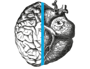 Gehirn-Icon